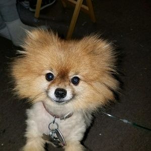 Meet your Posher, Terri